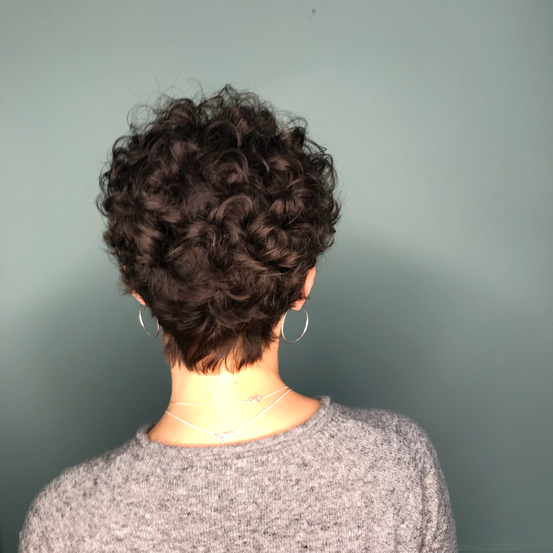 Short Curly Hairstyles Back View Short Curly Hairstyles Back View