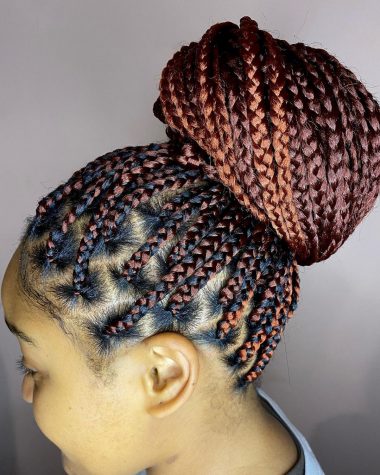 26 Chic Knotless Braids for 2024