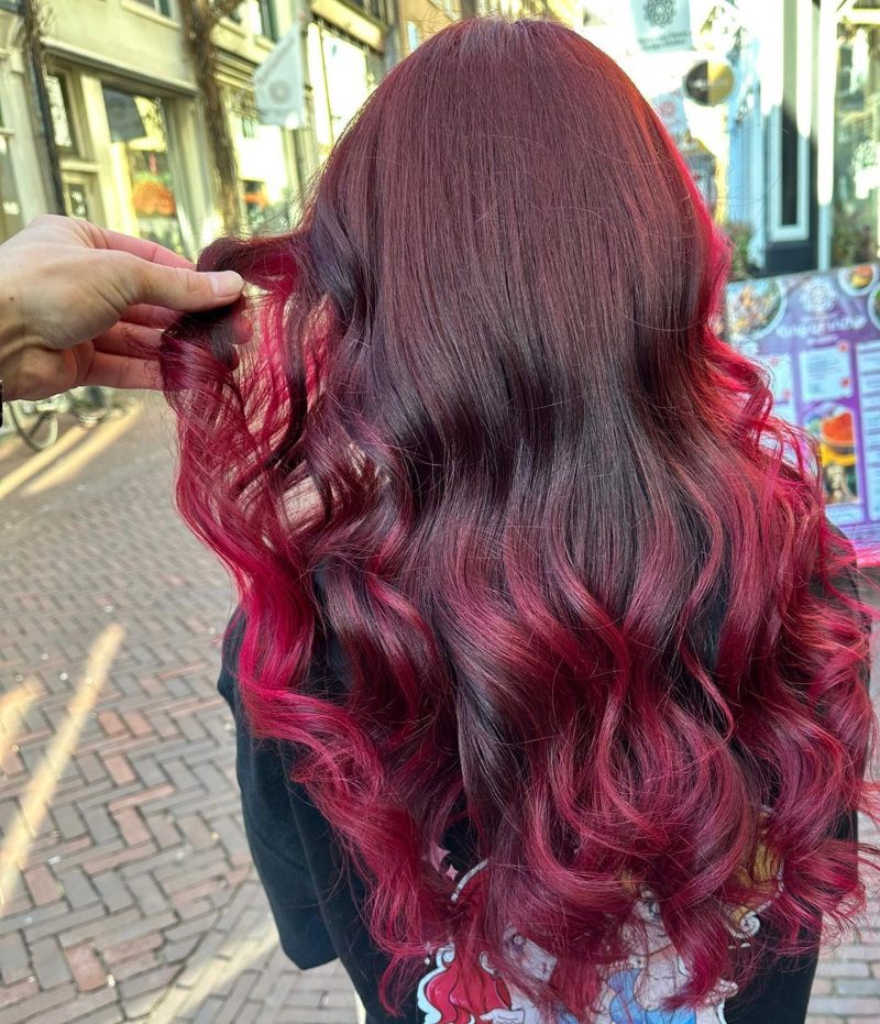 20+ Cherry Brunette Hair Inspirations